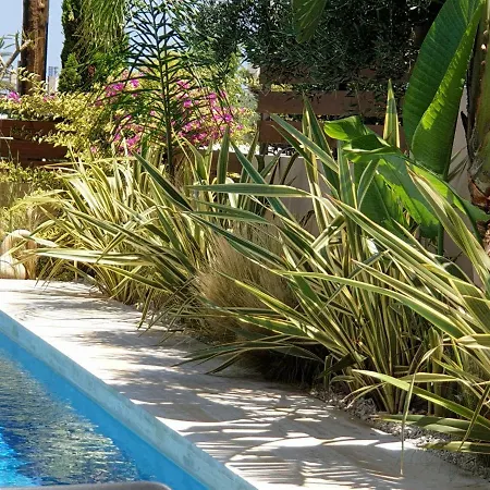 Fos Villa, A Luxe House With Private Heated Pool Galatas (Chania)